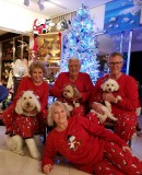 Christmas Cartoon Print Family Matching Pajama Set GSGS-0598#