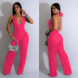 Deep V Neck Backless Halter Jumpsuit BY-6737