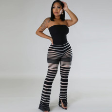 Stripe See Through Micro Flare Pants GNZD-9576PD