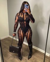 Pre Order: About 7 work days shipping Copy Sexy See-through Mesh Jacquard Hollow 2 Piece Set YUEM-Y6674