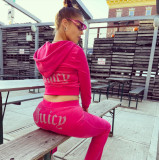 Velvet Coat Pants Two Piece Set GLXF-9837