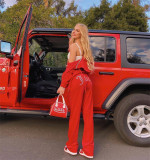 Velvet Coat Pants Two Piece Set GLXF-9837