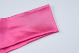 Solid Color Sexy Backless Zipper Tube Tops Dress BLG-D3512742A