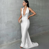 Sexy Backless Pleated Hanging Neck Dress BLG-D3713302K