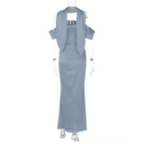 Solid Color Sexy Backless Zipper Tube Tops Dress BLG-D3512742A