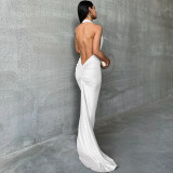 Sexy Backless Pleated Hanging Neck Dress BLG-D3713302K