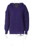 Fashion Hooded Long Sleeve Knit Sweater BLG-T3713479A