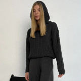Fashion Hooded Long Sleeve Knit Sweater BLG-T3713479A