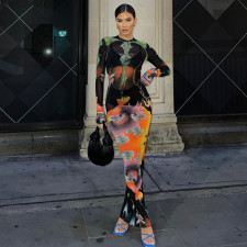 Fashion Print O Neck Long Sleeve Maxi Dress BLG-D289952A