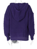 Fashion Hooded Long Sleeve Knit Sweater BLG-T3713479A