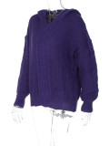 Fashion Hooded Long Sleeve Knit Sweater BLG-T3713479A