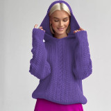 Fashion Hooded Long Sleeve Knit Sweater BLG-T3713479A
