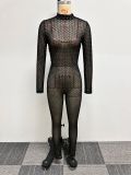 See Through Mesh Long Sleeve Jumpsuit NY-2989