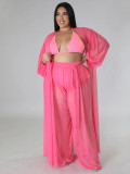 Plus Size Bat Sleeve Pants See Through Two Piece Set NNWF-7831