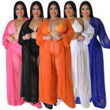 Plus Size Bat Sleeve Pants See Through Two Piece Set NNWF-7831