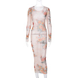 Mesh Print See Through Long Dress BLG-D3512632K