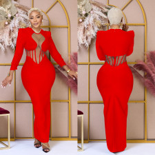 Solid Mesh See Through Long Sleeve Maxi Dress BY-6756