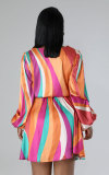 Casual Print Long Sleeve Tie Up Midi Dress 2XHXF-389