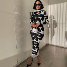 Fashion Print High Neck Midi Dress BLG-D186134K