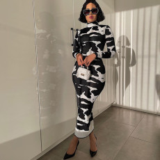 Fashion Print High Neck Midi Dress BLG-D186134K