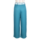 Solid Color Loose Wide Leg Blazer Pants ZSD-0646