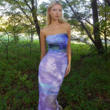 Fashion Print Backless Tube Top Maxi Dress BLG-D3512628K