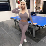 Fashion V Neck Crop Tops And Pants 2 Piece Set BLG-S3C15157K