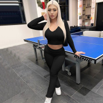 Fashion V Neck Crop Tops And Pants 2 Piece Set BLG-S3C15157K