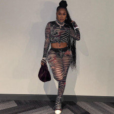Mesh See Through Print Long Sleeve Two Piece Set XEF-40243