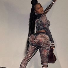 Mesh See Through Print Long Sleeve Two Piece Set XEF-40243
