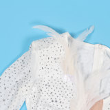 Hot Diamond Mesh Splicing V-neck Feather Mini Dress NY-3116
