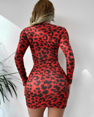 Leopard Print Long Sleeve V Neck Mini Dress HNIF-154