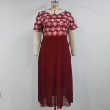 Plus Size Print Coat And Maxi Dress Two Piece Set GJXI-510