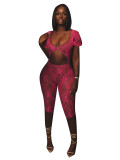 Sexy Lace Big U Neck Backless Romper CH-24011