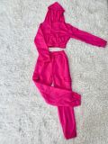 Patchwork Padded Casual Sports Hooded Two Piece Set AL-7507