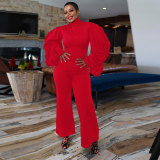 Pleated Lantern Sleeve Wide Leg Jumpsuit NY-10697