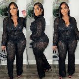 Tassel Sequins See-Through Shirt Pants Two Piece Set NY-3126