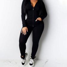 Casual Solid Zipper Hooded Pants Two Piece Set HNIF-9547
