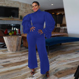 Pleated Lantern Sleeve Wide Leg Jumpsuit NY-10697