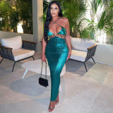 Sexy Hollow Out Backless Slim Dress BLG-D3914269K