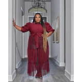 Plus Size See-through Mesh Patchwork Half Sleeve Cake Dress QYXZ-9104