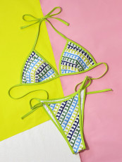 Sexy Print Halter 2pcs Bikinis Set CSYZ-575