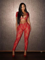 Sexy Lace Sleeve Hollow Out Jumpsuit CH-24012