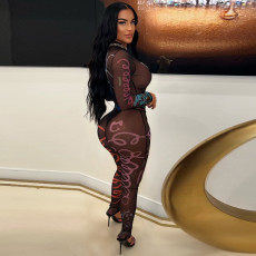 Mesh See Through Mesh Tight Bodysuit+Pant 2 Piece Set YNSF-2629