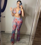 Sexy Printed Swimsuit Mesh 3 Piece Set(With Panties) BGN-163