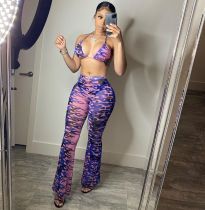 Sexy Printed Swimsuit Mesh 3 Piece Set(With Panties) BGN-163