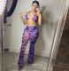 Sexy Printed Swimsuit Mesh 3 Piece Set(With Panties) BGN-163