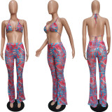 Sexy Printed Swimsuit Mesh 3 Piece Set(With Panties) BGN-163