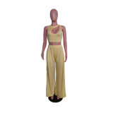 Solid Color Loose Sleeveless Two Piece Pants Set QYXZ-9932