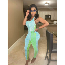 Print Patchwork Halter Backless Jumpsuit QYXZ-9926